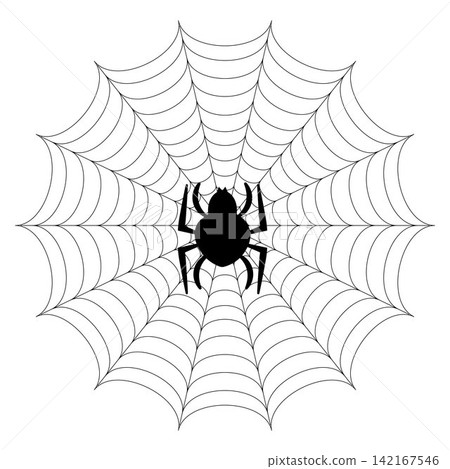 Black spider silhouette on cobweb isolated on white background Black spider silhouette on cobweb isolated on white background 142167546