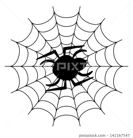 Black spider silhouette on cobweb isolated on white background Black spider silhouette on cobweb isolated on white background 142167547