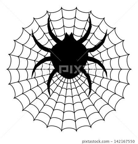 Black spider silhouette on cobweb isolated on white background Black spider silhouette on cobweb isolated on white background 142167550