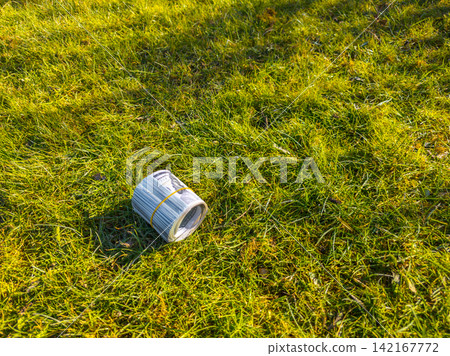 Roll of US Dollar Bills on Green Grass Roll of US Dollar Bills on Green Grass 142167772