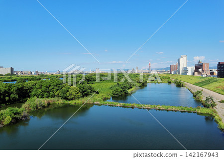 城北莞島的夏天(大阪) 城北莞島的夏天(大阪) 142167943