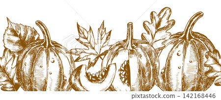 Seamless border of autumn pumpkins. Vintage sketch illustration. Thanksgiving frame. Seamless border of autumn pumpkins. Vintage sketch illustration. Thanksgiving frame. 142168446
