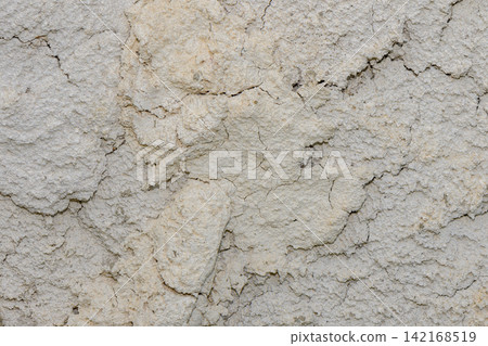 Rough, cracked light gray clay and dried earth texture Rough, cracked light gray clay and dried earth texture 142168519
