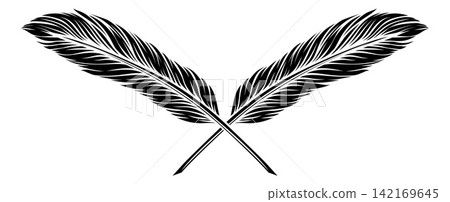 Crossed Ink Pen Feather Quills Illustration Crossed Ink Pen Feather Quills Illustration 142169645