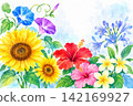 Watercolor illustrations of summer flowers 142169927
