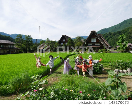 Shirakawago的稻草人 142170073