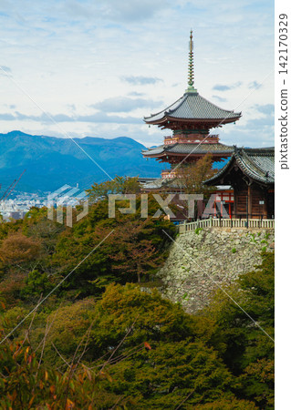 清水寺的三層寶塔和鬱鬱蔥蔥的庭院 清水寺的三層寶塔和鬱鬱蔥蔥的庭院 142170329