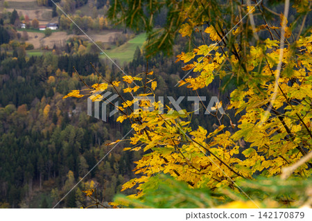 View from the mountain into the valley between Micheldorf and Grafendorf, Carinthia, Austria. View from the mountain into the valley between Micheldorf and Grafendorf, Carinthia, Austria. 142170879