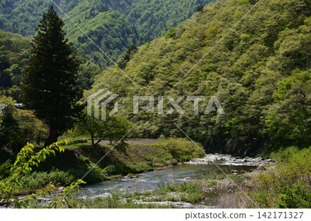清澈的溪流蜿蜒流過鬱鬱蔥蔥的青山，沿途是鄉村美景。 142171327