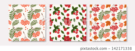 Autumn Berry Seamless Pattern Set with Rowan, Viburnum and Lingonberry Autumn Berry Seamless Pattern Set with Rowan, Viburnum and Lingonberry 142171338