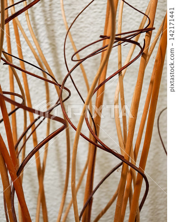 Decorative dried natural branches creating abstract warm pattern Decorative dried natural branches creating abstract warm pattern 142171441