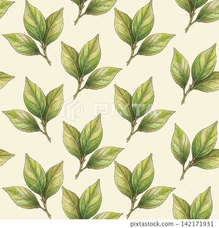 Mediterranean style seamless vector pattern with hand drawn foliage Mediterranean style seamless vector pattern with hand drawn foliage 142171931