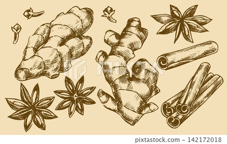 Spice set. Vintage sketch illustration: ginger root, cinnamon, anise. Spice set. Vintage sketch illustration: ginger root, cinnamon, anise. 142172018