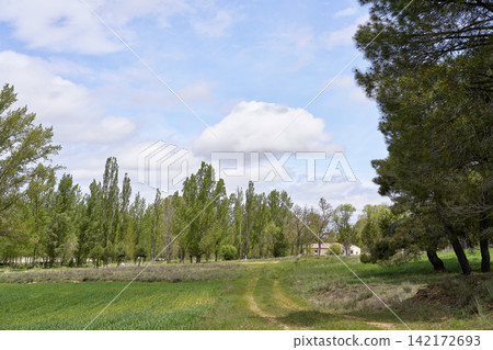 Serene Rural Landscape with Path and House Serene Rural Landscape with Path and House 142172693