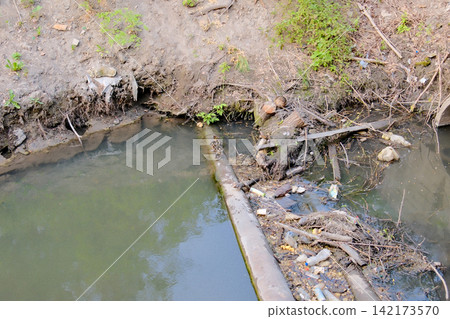 Ducklings walk on a pipe in a polluted stream with debris Ducklings walk on a pipe in a polluted stream with debris 142173570