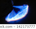 Abstract Blue Neon Light Rays Refraction Under Water Dark 142173777