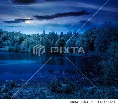 landscape by the lake at night. full moon over deciduous forest near the glacial lake. mysterious view of fantasy forest of carpathian mountains in spring. dark sky. hiking and tourism background 142174121