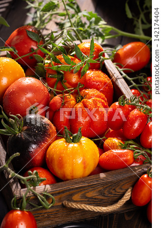 Fresh heirloom tomatoes in wooden crate after harvest Fresh heirloom tomatoes in wooden crate after harvest 142174404