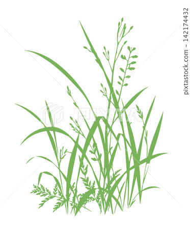 Grass green silhouette vector isolated on white background nature design illustration of grass plant pattern greenery artwork Hand drawn. Not AI, vector illustration. 142174432