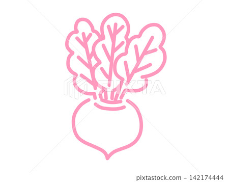 Hand-drawn turnip vegetable illustration, pink Hand-drawn turnip vegetable illustration, pink 142174444