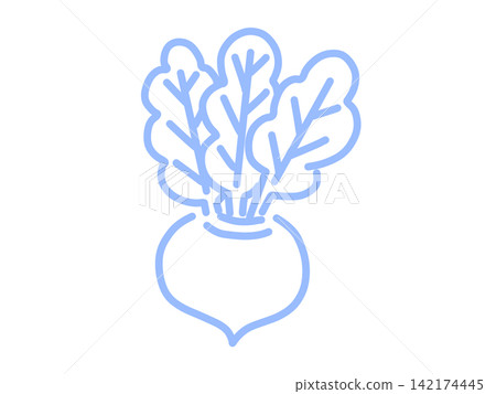Hand-drawn turnip vegetable illustration, light blue 142174445