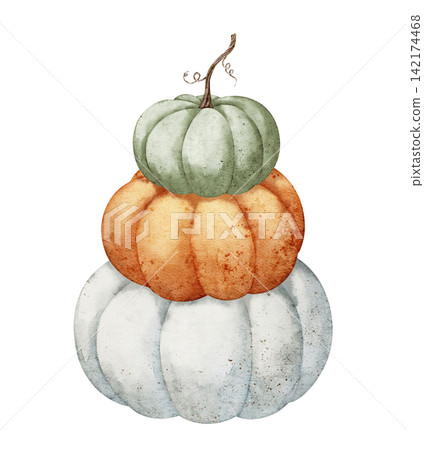 Pumpkin stack watercolor illustration with green, orange and white autumn gourds isolated on background. Harvest clipart for Thanksgiving invitations, farmhouse, fall greeting card and seasonal design Pumpkin stack watercolor illustration with green, orange and white autumn gourds isolated on background. Harvest clipart for Thanksgiving invitations, farmhouse, fall greeting card and seasonal design 142174468