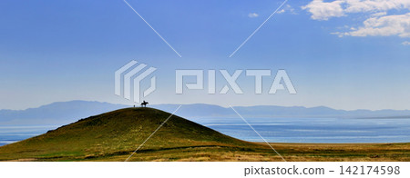 Horse Rider Silhouette on Grassy Hill by Mountain Lake Horse Rider Silhouette on Grassy Hill by Mountain Lake 142174598