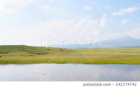 Panoramic Lake Landscape with Grassland and Distant Mountains Panoramic Lake Landscape with Grassland and Distant Mountains 142174742
