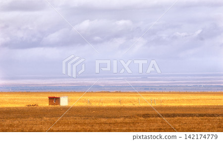 Prairie Landscape with Small Shed Under Dramatic Storm Clouds Prairie Landscape with Small Shed Under Dramatic Storm Clouds 142174779
