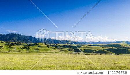 Green Rolling Hills and Mountain Meadow Under Blue Sky Green Rolling Hills and Mountain Meadow Under Blue Sky 142174786