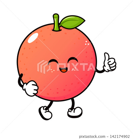 Smiling grapefruit character giving thumbs up gesture Smiling grapefruit character giving thumbs up gesture 142174902
