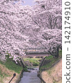 “春天已經來臨。” 142174910