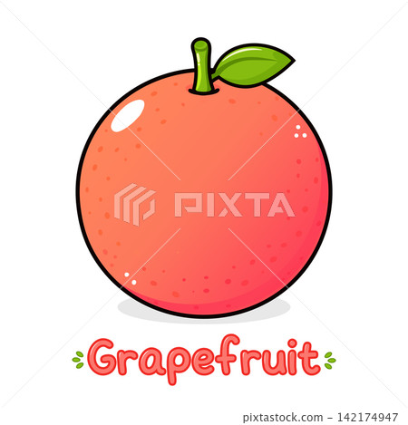 Plain grapefruit fruit above decorative grapefruit lettering 142174947