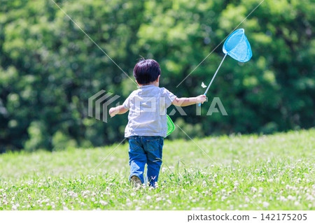 The back view of a boy chasing insects with a butterfly net in a grassy field. The back view of a boy chasing insects with a butterfly net in a grassy field. 142175205