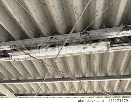 Many spiderwebs Many spiderwebs 142175279