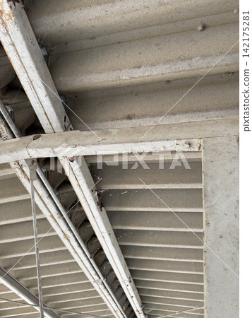 Many spiderwebs Many spiderwebs 142175281
