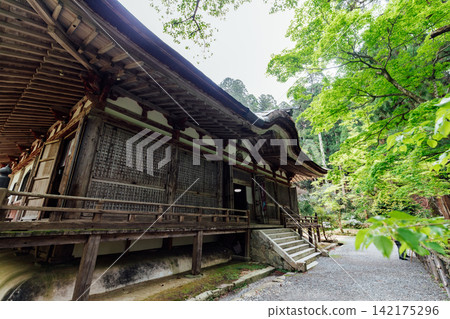 【滋賀縣東近江市】百齋寺:正殿與翠綠 【滋賀縣東近江市】百齋寺:正殿與翠綠 142175296