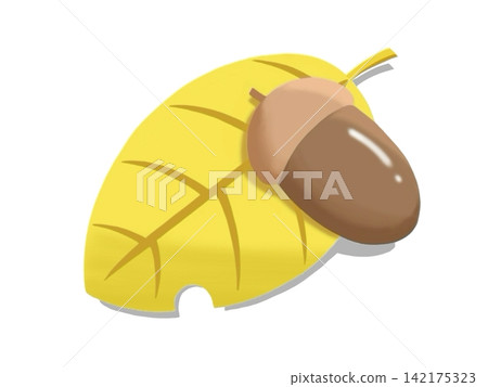 Acorns and leaves that evoke the image of autumn. Acorns and leaves that evoke the image of autumn. 142175323
