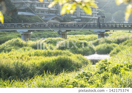 A riverside open-air bath in Misasa Onsen, surrounded by lush greenery. 142175374