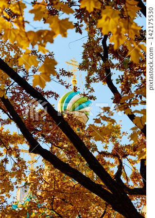 The golden domes of the cathedral were Saved on Blood through yellow foliage and the wrought-iron gates of the Mikhailovsky Garden on a sunny autumn evening The golden domes of the cathedral were Saved on Blood through yellow foliage and the wrought-iron gates of the Mikhailovsky Garden on a sunny autumn evening 142175530