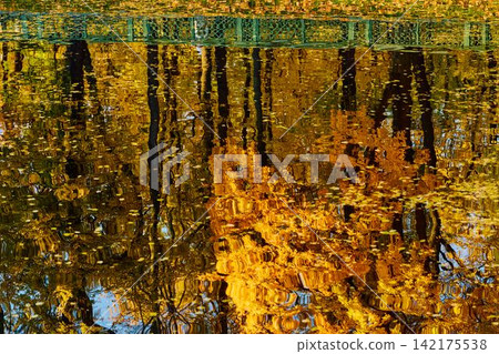 magic reflection of yellow trees in the Karpiev pond in the Summer Garden in clear autumn sunny day, an incredible reflection of yellow leaves on the surface of the water, Russia, Saint Petersburg magic reflection of yellow trees in the Karpiev pond in the Summer Garden in clear autumn sunny day, an incredible reflection of yellow leaves on the surface of the water, Russia, Saint Petersburg 142175538