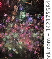 Tamaya 142175584