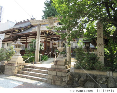 白龍神社的鳥居與神社名牌！愛知縣名古屋市 142175615