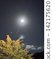 The moon is beautiful. 142175620