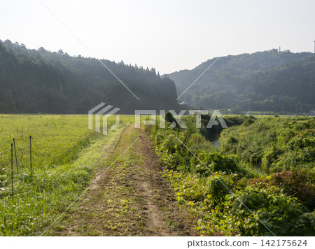 大阪府豐野郡能瀨町一條農場道路沿線的風景 大阪府豐野郡能瀨町一條農場道路沿線的風景 142175624