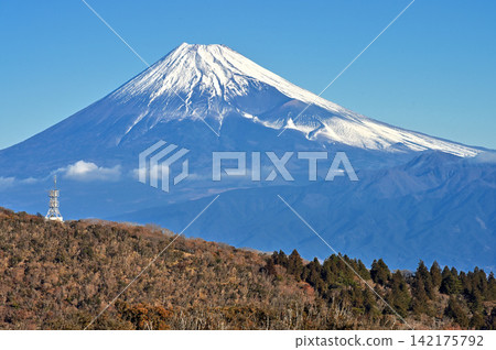 從小達魯瑪山眺望伊豆半島、伊豆山脊步道、白雪皚皚的富士山和足座岳。 從小達魯瑪山眺望伊豆半島、伊豆山脊步道、白雪皚皚的富士山和足座岳。 142175792