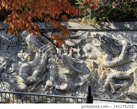 神戶生田川公園的百龍紀水和秋葉 神戶生田川公園的百龍紀水和秋葉 142176258