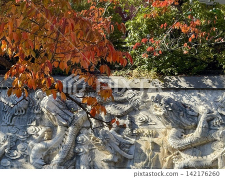 神戶生田川公園的百龍紀水和秋葉 神戶生田川公園的百龍紀水和秋葉 142176260