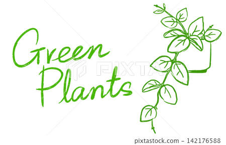 時尚的手繪植物裝飾插圖 時尚的手繪植物裝飾插圖 142176588