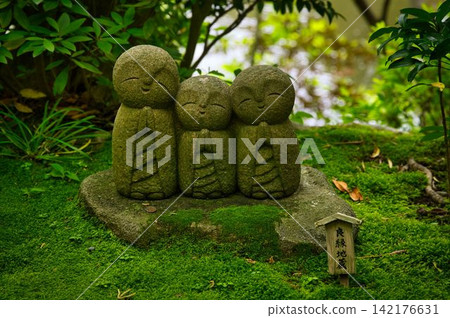 A Jizo statue peacefully standing in a moss garden. A Jizo statue peacefully standing in a moss garden. 142176631
